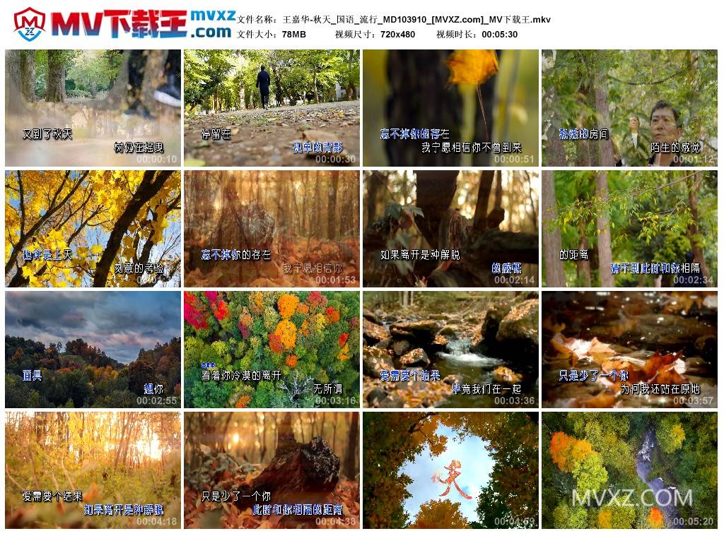 王嘉华-秋天_国语_流行_MD103910